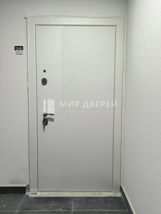 Фото двери № 489